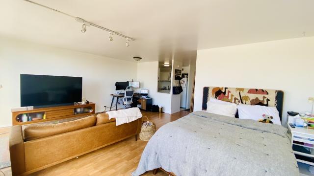 Building Photo - 0 bedroom in Chicago IL 60613