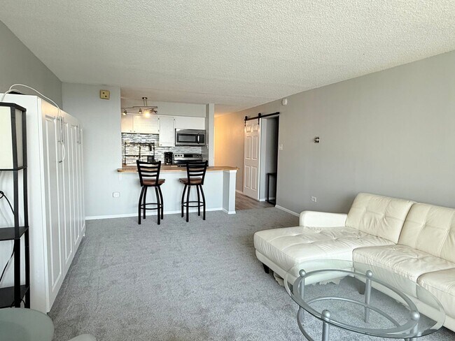 Foto del edificio - Partially Furnished Downtown Denver Studio...