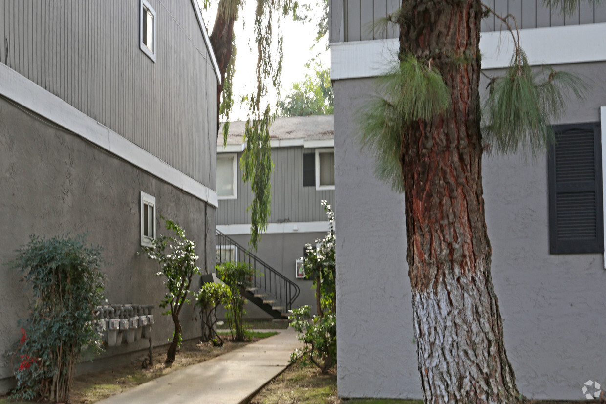 Building Photo - Maplewood Apartments