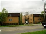 Primary Photo - Paragon of White Oak
