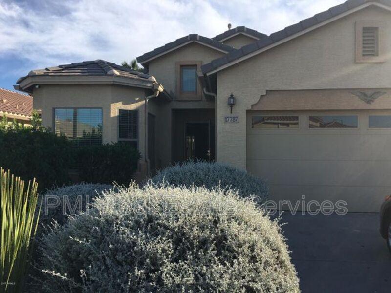 17787 W Rimrock St, Surprise, AZ 85388 House Rental in Surprise, AZ
