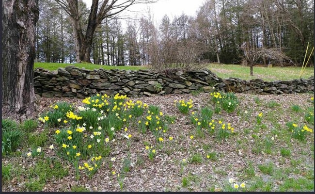 Building Photo - 298 Sweet Pond Rd