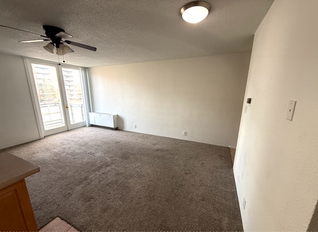 Building Photo - Studio Apartment in DU Area-Parking and Storage!