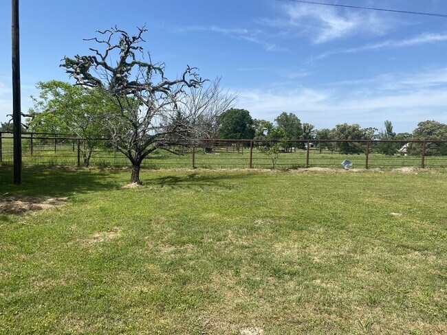 Building Photo - 17967 FM850