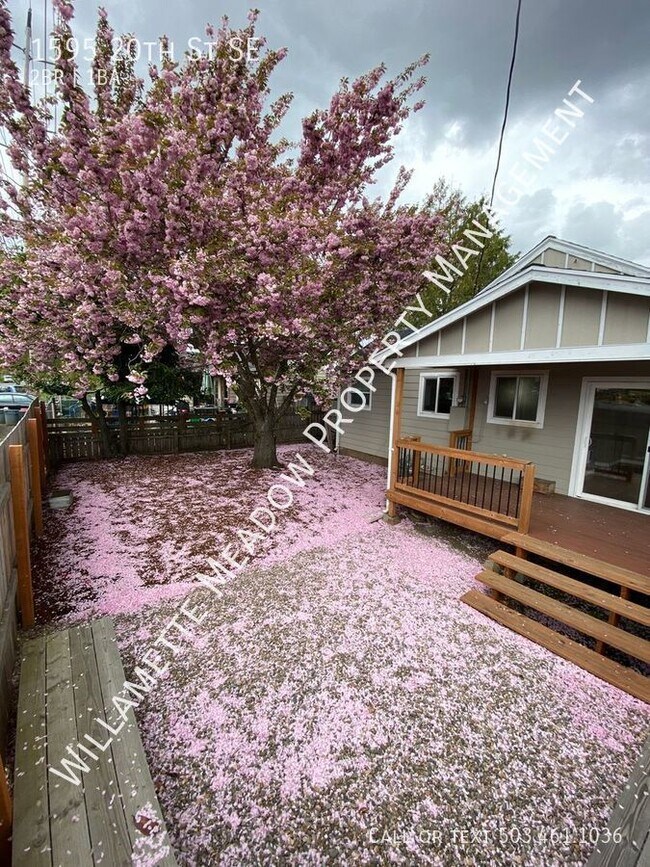 Foto del edificio - 2 Bedroom 1 Bathroom Newly Remodeled Duple...