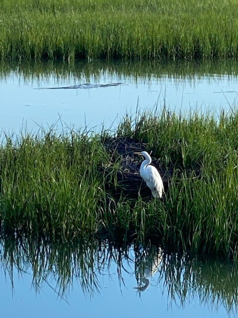 Photo - 177 W Mariners Cay Dr (Folly Beach, SC)