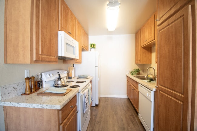 Building Photo - Gold Coast Apartments *First Month Free*