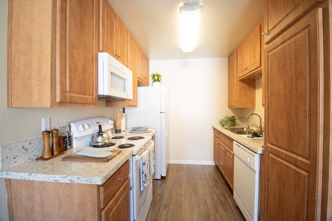 Foto del edificio - Gold Coast Apartments *First Month Free*