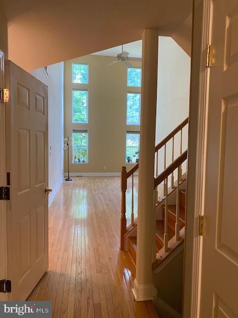 Foto del edificio - 3336 Woodland Cir