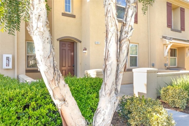 Foto del edificio - 1800 E Lakeshore Dr