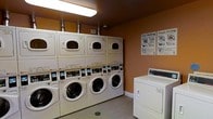 This single-floor shared laundry facility is designed with practicality and efficiency in mind. The room features warm amber-painted walls that create a welcoming atmosphere, complemented by light wood-style flooring and bright overhead fluorescent lighting that ensures excellent visibility throughout the space.

The room is outfitted with a row of stacked front-loading washer and dryer units, providing ample laundry capacity for multiple users. Each stacked unit pairs a front-loading washing machine on the bottom with a corresponding dryer on top, maximizing the use of vertical space. In addition to the stacked units, a standalone top-loading washing machine is positioned along the adjacent wall, offering users a variety of machine options.

Instructional guides are clearly posted on the wall, including easy-to-follow washing and operational guides, making the facility accessible and user-friendly for all. Exposed ventilation ductwork runs along the upper wall behind the machines, reflecting the room's utilitarian design. A floor drain is centrally located, adding a practical and hygienic element to the space.

Overall, this laundry facility is thoughtfully organized to accommodate multiple users simultaneously, balancing functionality with a clean, approachable aesthetic.