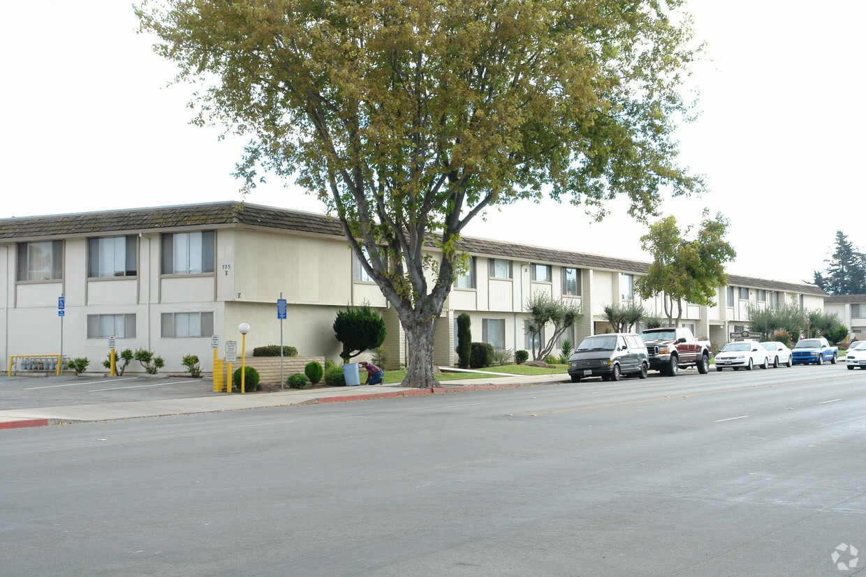 Primary Photo - Maple Terrace Apartments