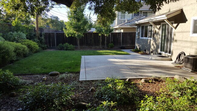 Backyard - 2331 Pauline Dr