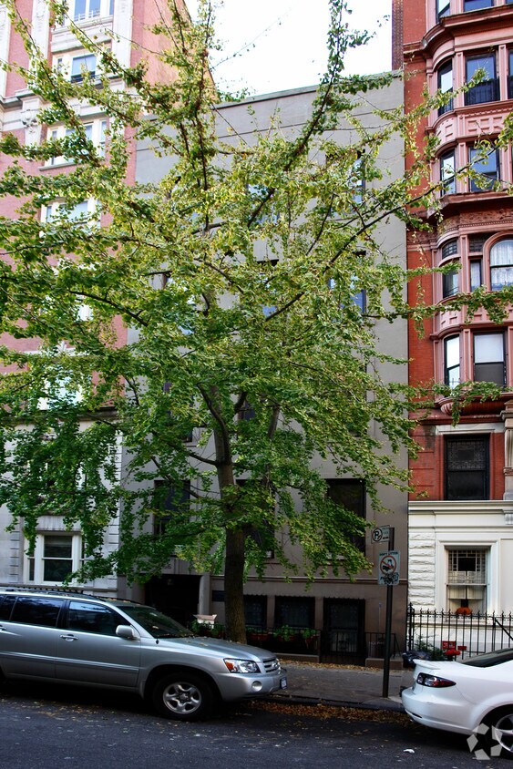 Building Photo - 66 Montague St