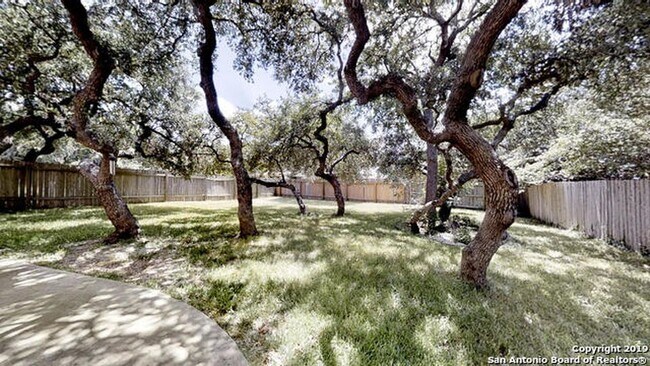 Backyard - 17427 Sapphire Rim Dr
