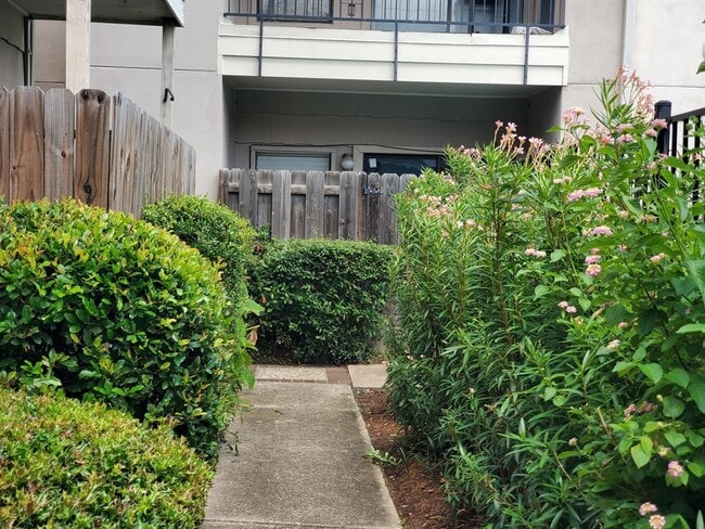 Building Photo - 1818 Augusta Dr