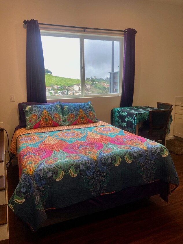 Fully furnished studio with queen bed - 2830 Chadwick Cir