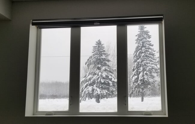 Living Room View - 815 Railroad Ave