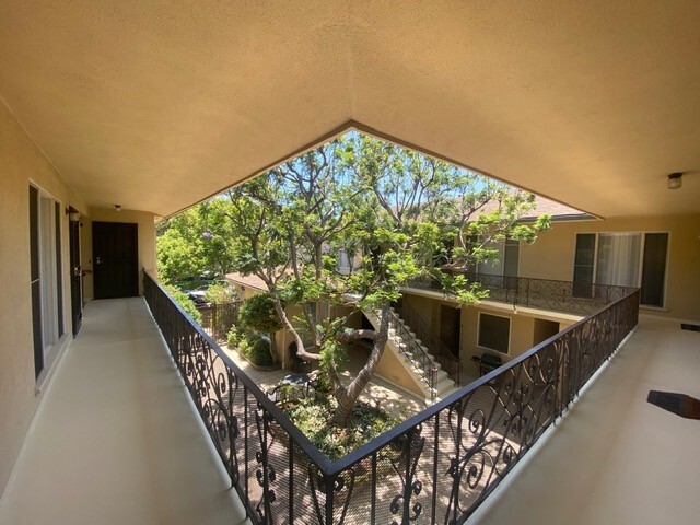 Courtyard View - 819 California Ave