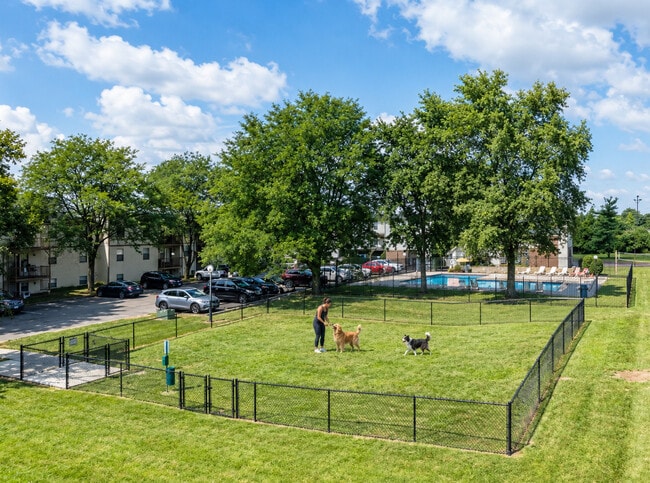 Dog park - Elms Apartments