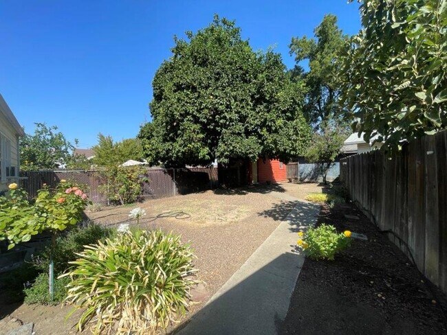 Building Photo - Great 1 Bedroom in the Heart of Woodland