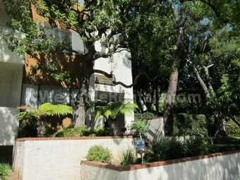 Primary Photo - 497 E California Blvd