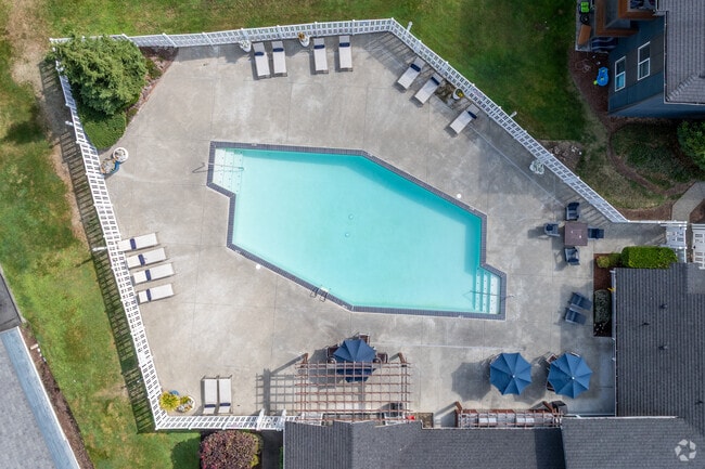 Pool at Vibe - Vibe Apartments