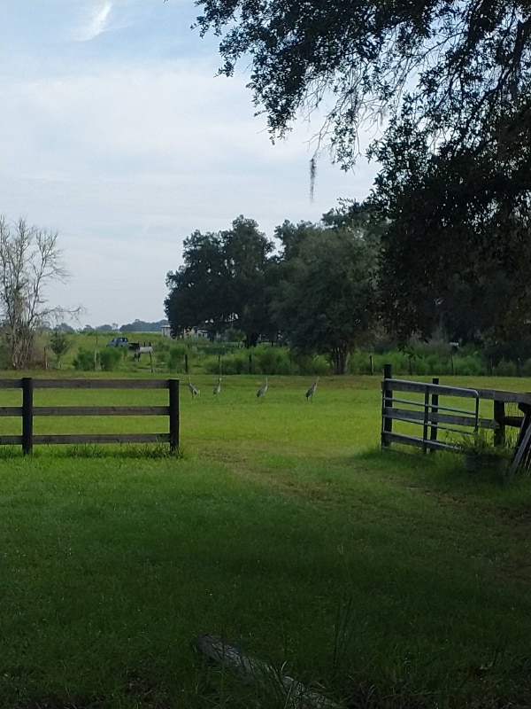 Building Photo - 7090 SE 181 Ct