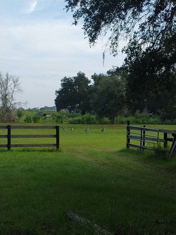 Foto del edificio - 7090 SE 181 Ct