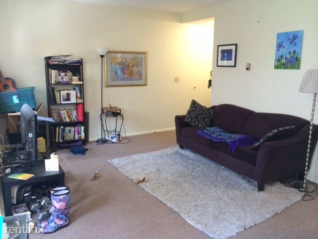 103 Norway St Unit Apt 20 Boston Ma 02115 Condo For Rent In Primary Photo 103 Norway St