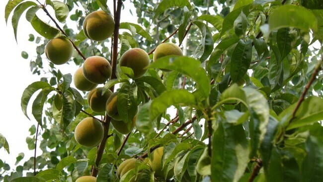 Foto del edificio - 2867 NE Sedalia Loop