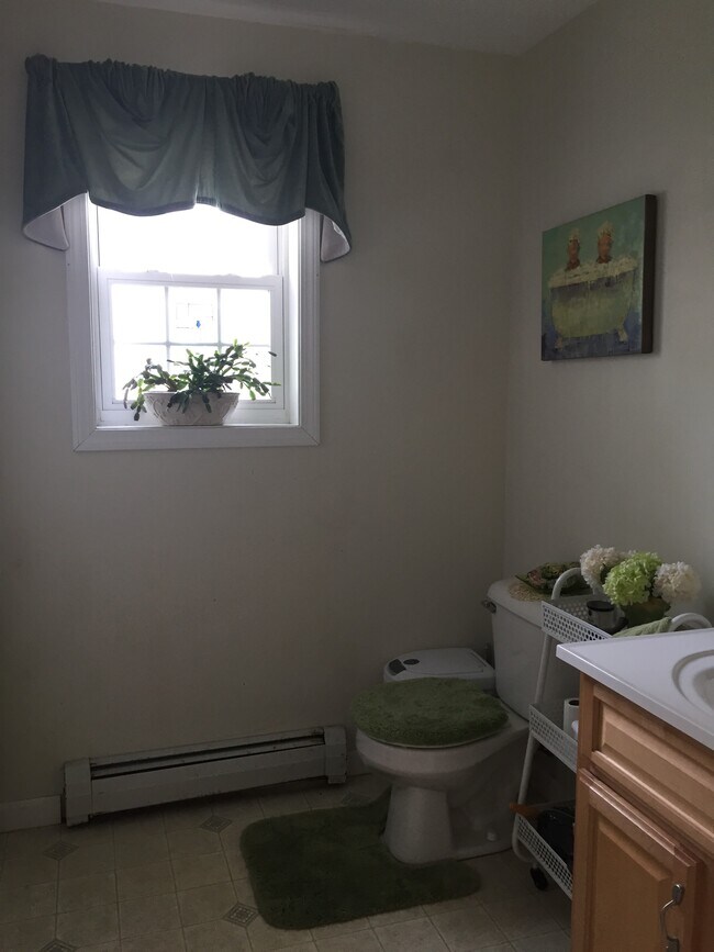 Downstairs bathroom again, photo of how it can be decorated. - 40 Government St