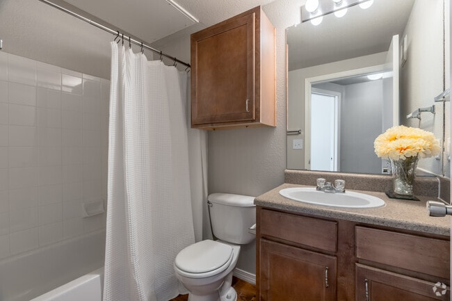2BR, 2BA - 925SF - Bathroom - Lewisville Green