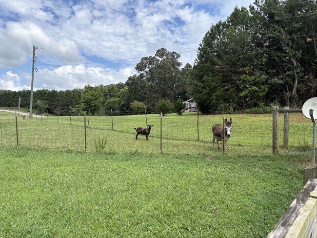 Foto del edificio - 368 White Pine Crossover