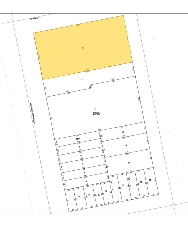 Plat Map - 369 Mother Gaston Blvd