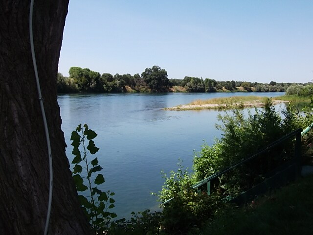  - Driftwood & River Inn Parks