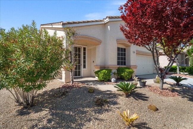 Building Photo - Completely Renovated Modern 4 Bd Single Story in the Trails