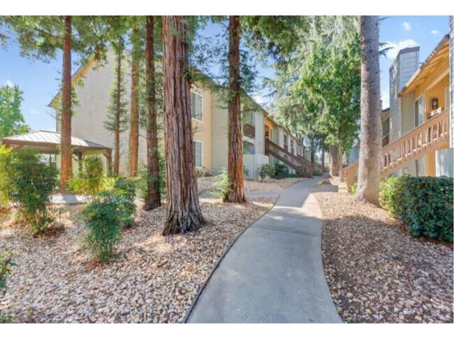 Interior Photo - Walnut Village