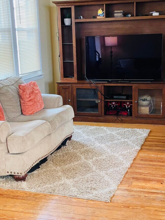 Living room - 115 N 12th St