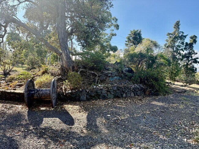 Foto del edificio - Experience comfort in this charming 3 bed, 2 bath rental home with a wood-burning stove, sunken j...