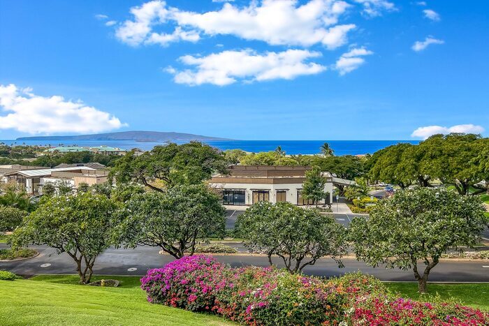 Primary Photo - Wailea Ekolu 102