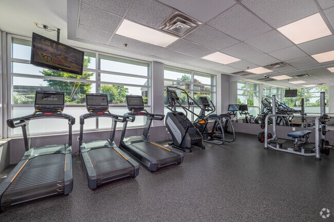 Gimnasio - Tradition Knoxville