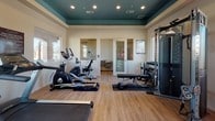 This fitness center is a thoughtfully designed, single-floor space built to support a comprehensive workout experience. The room features warm wood-style flooring throughout, neutral walls, and a distinctive teal-painted tray ceiling with recessed lighting that adds a polished, modern character to the space.

Natural light pours in through multiple large windows along the walls, offering views of the surrounding outdoor community with palm trees and residential buildings visible in the backdrop. Full-length mirrors line portions of the walls, enhancing the sense of openness and allowing users to monitor their form during exercise.

The cardio zone is well-appointed with treadmills, elliptical trainers, a rowing machine, and a stationary recumbent bike, all arranged to make efficient use of the floor space. A wall-mounted flat-screen television is positioned for easy viewing during workouts. The strength training area features a multi-function cable machine, an adjustable weight bench, a full rack of dumbbells in graduated sizes, and a collection of exercise and stability balls. A dedicated adjoining area, accessible through a glass-paned door, provides additional space for stretching or supplementary equipment.

Fitness center rules are posted on the wall, indicating this is a managed, community-use facility. The space strikes a balance between functionality and comfort, offering residents a convenient and well-maintained environment for their fitness routines.