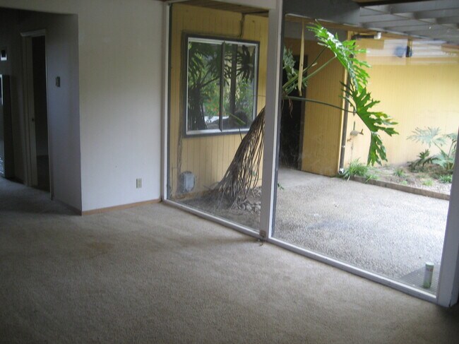 Building Photo - 119 Rooney St