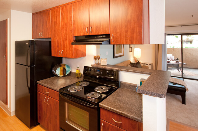 One Bedroom Kitchen - Avalon Mountain View