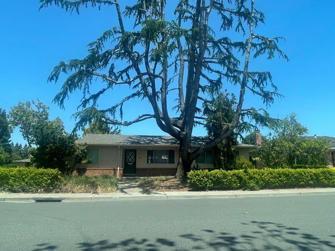 Building Photo - 800 Moraga Dr