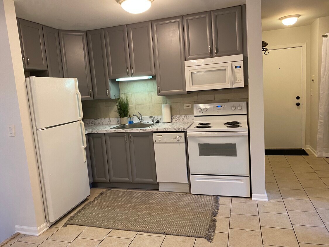 367 Wilmington Dr Unit C, Bartlett, IL 60103 Condo for Rent in Bartlett, IL