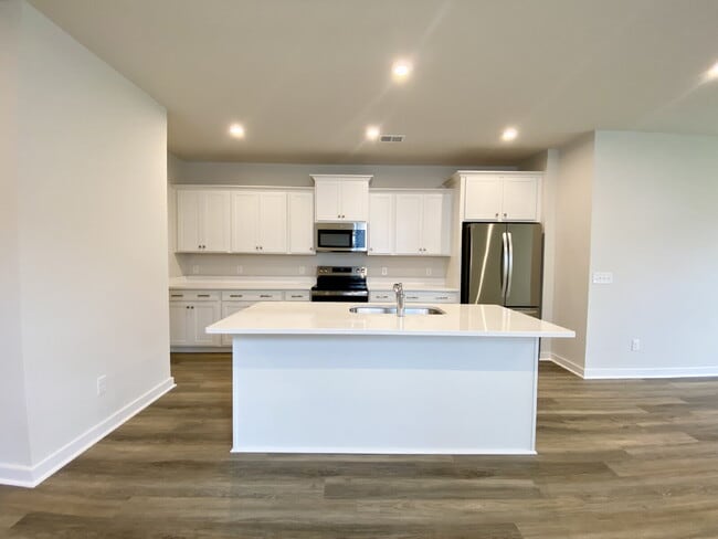 Building Photo - Brand New Single Family Home Just Minutes ...
