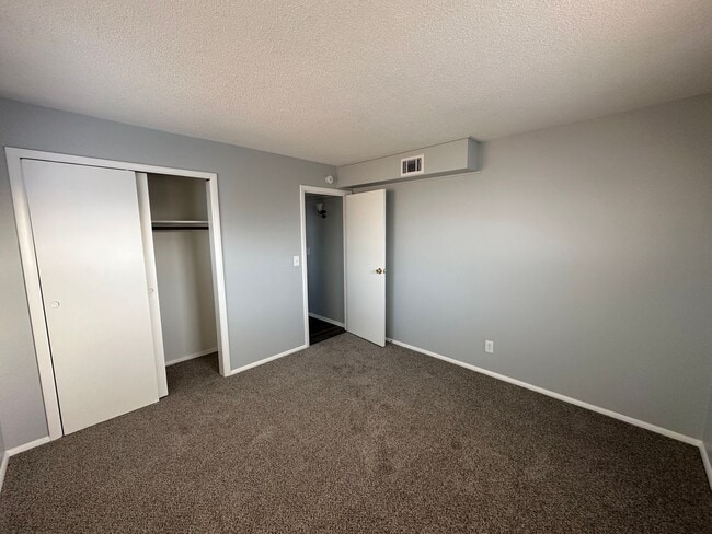 Building Photo - Updated 2 bed 1 bath apartment in the heart of Speedway