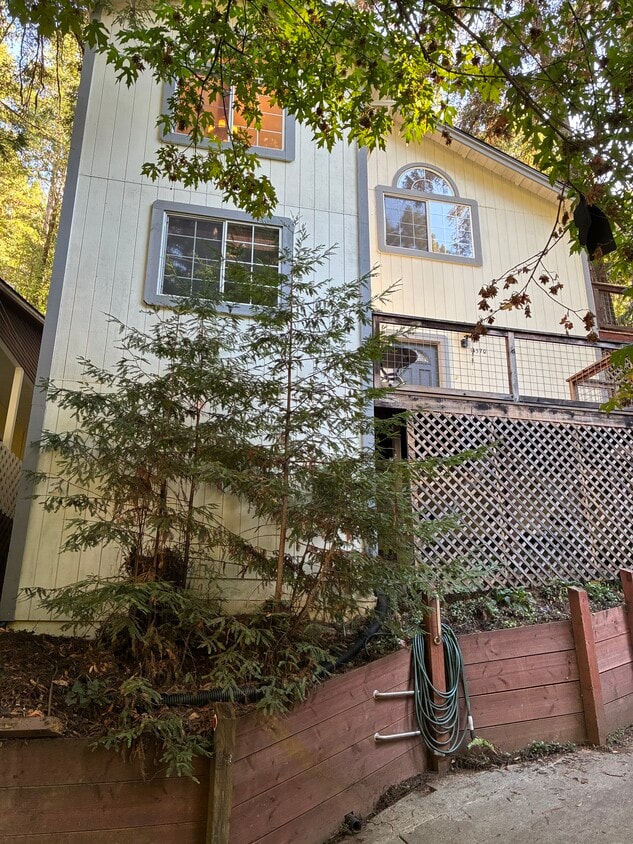FRONT OF HOUSE - 14570 Canyon 1 Rd